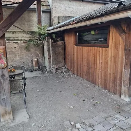 Nid Douillet Au Coeur Du Vignoble Alsacien Appartamento Kintzheim