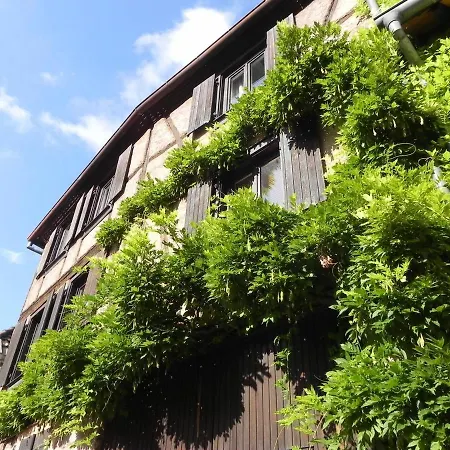 Nid Douillet Au Coeur Du Vignoble Alsacien Apartment