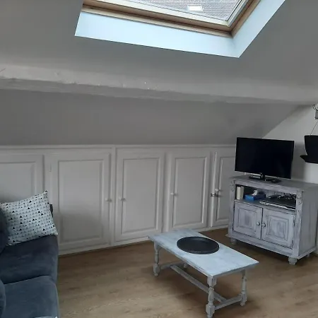 Nid Douillet Au Coeur Du Vignoble Alsacien * Kintzheim