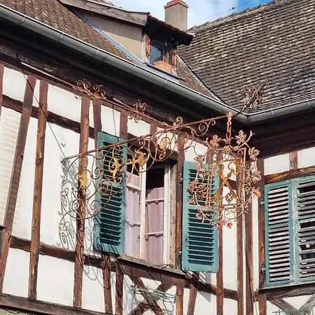 Nid Douillet Au Coeur Du Vignoble Alsacien