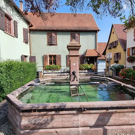 Nid Douillet Au Coeur Du Vignoble Alsacien * Kintzheim