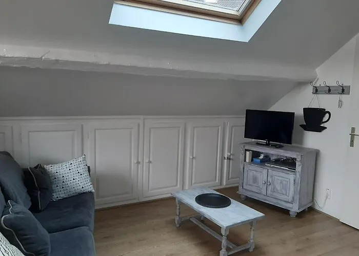 Nid Douillet Au Coeur Du Vignoble Alsacien * Kintzheim