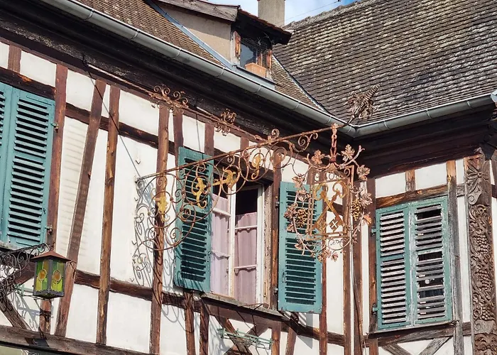 Nid Douillet Au Coeur Du Vignoble Alsacien